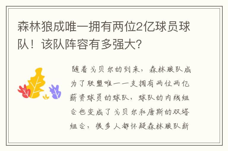 森林狼成唯一拥有两位2亿球员球队！该队阵容有多强大？