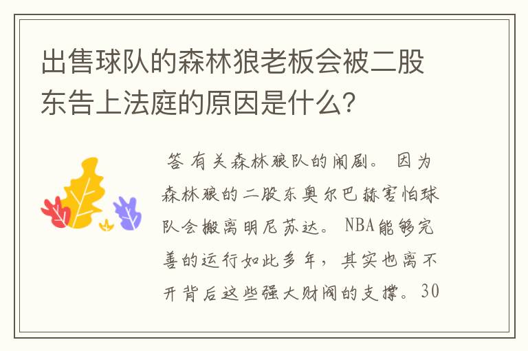 出售球队的森林狼老板会被二股东告上法庭的原因是什么？