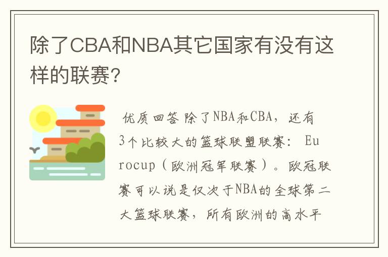 除了CBA和NBA其它国家有没有这样的联赛?