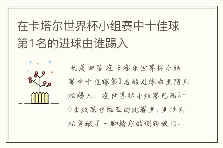 在卡塔尔世界杯小组赛中十佳球第1名的进球由谁踢入