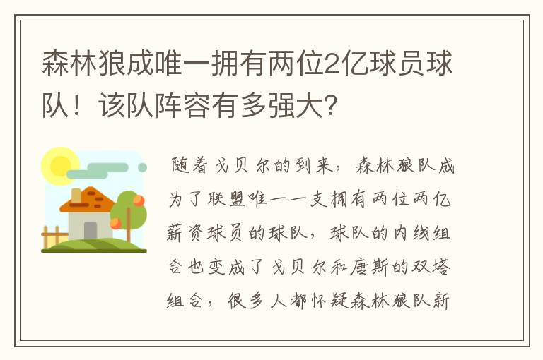 森林狼成唯一拥有两位2亿球员球队！该队阵容有多强大？