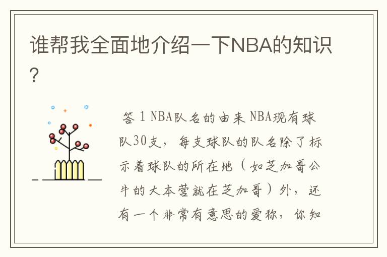 谁帮我全面地介绍一下NBA的知识？