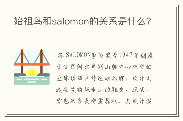 始祖鸟和salomon的关系是什么？