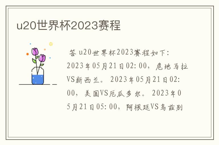 u20世界杯2023赛程