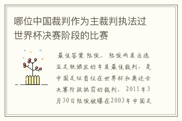 哪位中国裁判作为主裁判执法过世界杯决赛阶段的比赛