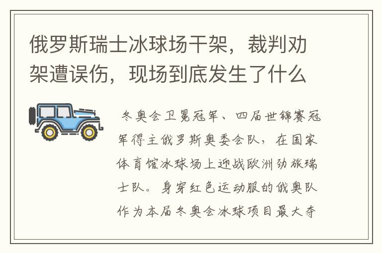 俄罗斯瑞士冰球场干架，裁判劝架遭误伤，现场到底发生了什么？