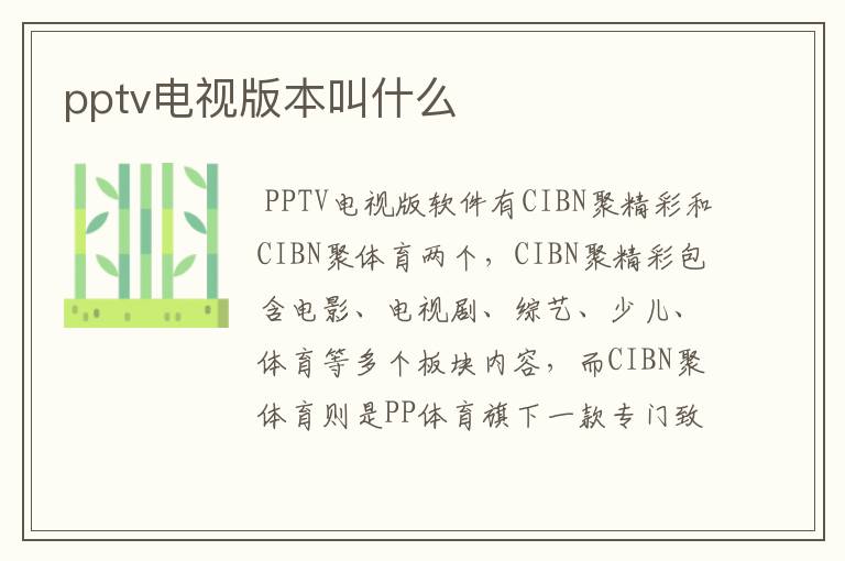 pptv电视版本叫什么