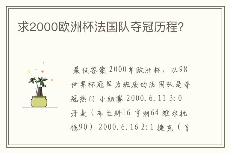 求2000欧洲杯法国队夺冠历程？