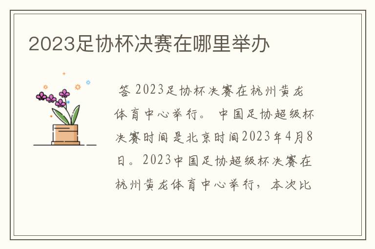 2023足协杯决赛在哪里举办