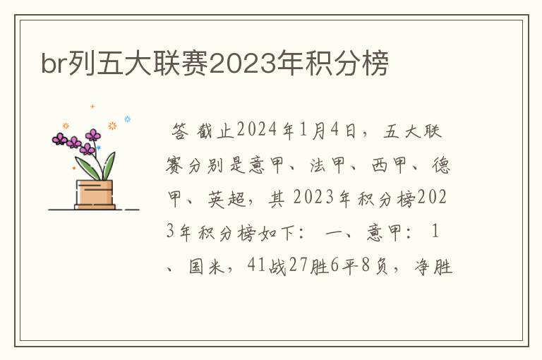 br列五大联赛2023年积分榜