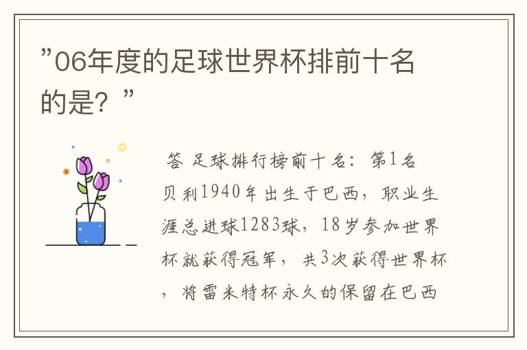 ”06年度的足球世界杯排前十名的是？”