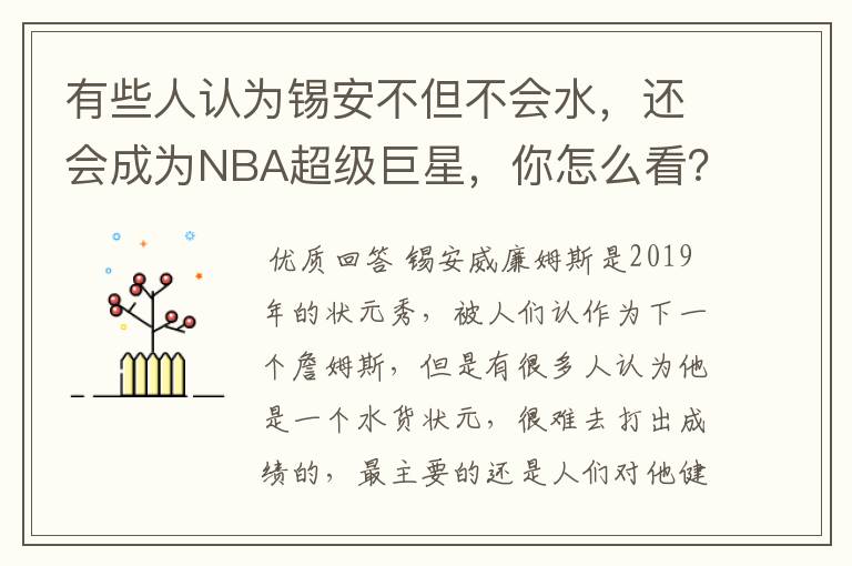 有些人认为锡安不但不会水，还会成为NBA超级巨星，你怎么看？