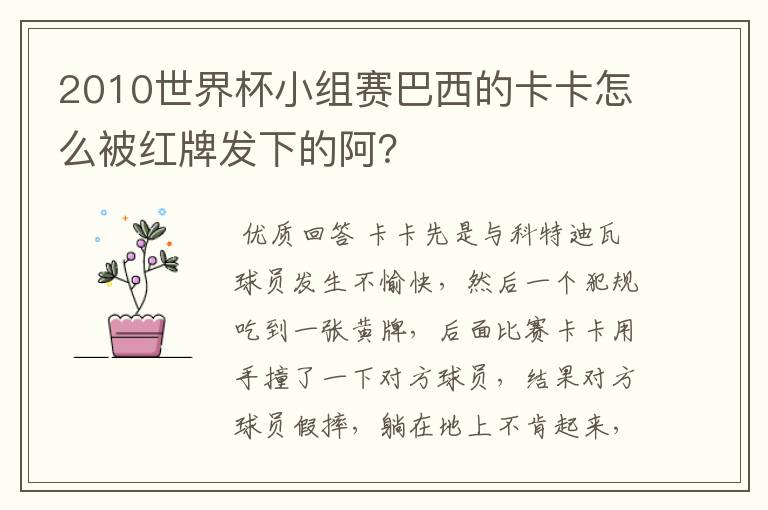 2010世界杯小组赛巴西的卡卡怎么被红牌发下的阿？