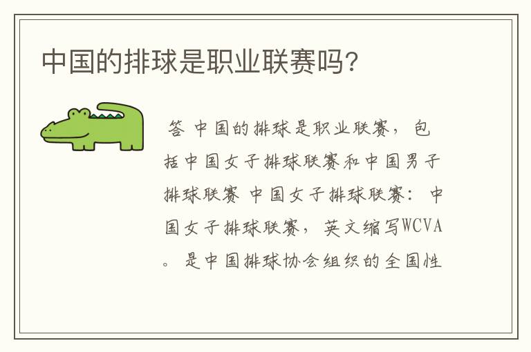 中国的排球是职业联赛吗?