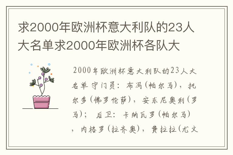 求2000年欧洲杯意大利队的23人大名单求2000年欧洲杯各队大