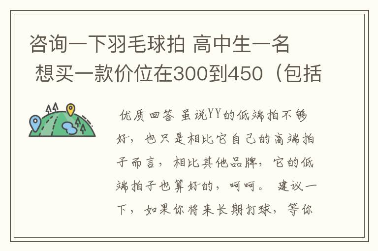 咨询一下羽毛球拍 高中生一名  想买一款价位在300到450（包括拍线和手胶.