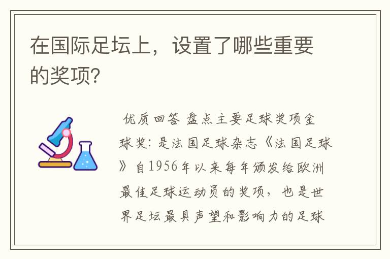 在国际足坛上，设置了哪些重要的奖项？