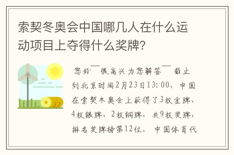 索契冬奥会中国哪几人在什么运动项目上夺得什么奖牌？