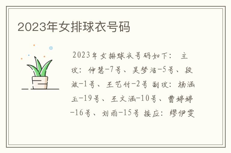 2023年女排球衣号码