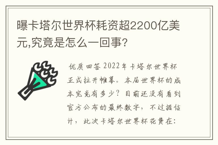 曝卡塔尔世界杯耗资超2200亿美元,究竟是怎么一回事?