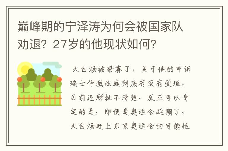 巅峰期的宁泽涛为何会被国家队劝退？27岁的他现状如何？