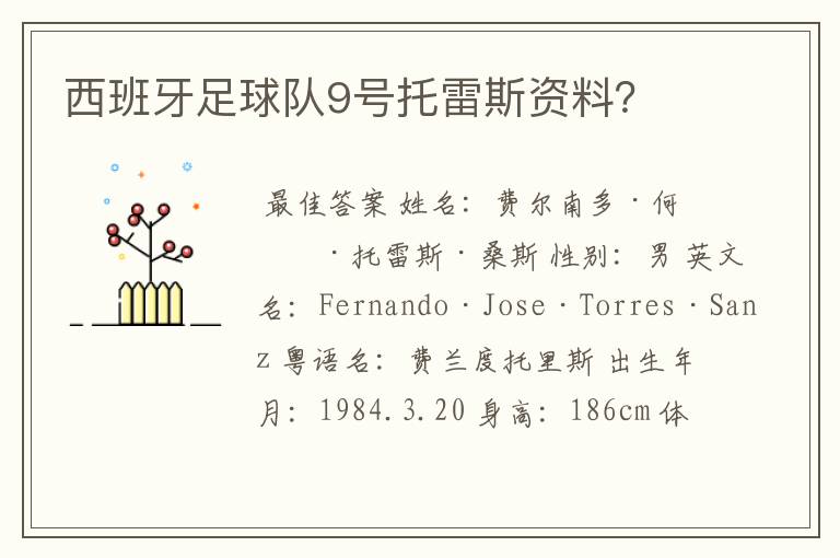 西班牙足球队9号托雷斯资料？