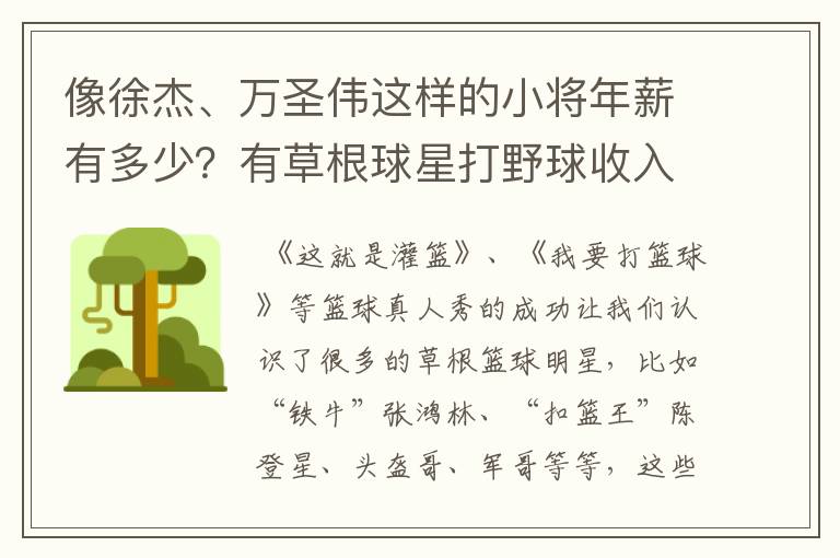 像徐杰、万圣伟这样的小将年薪有多少？有草根球星打野球收入高吗？