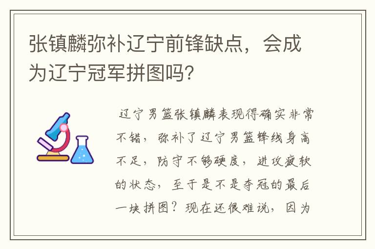 张镇麟弥补辽宁前锋缺点，会成为辽宁冠军拼图吗？