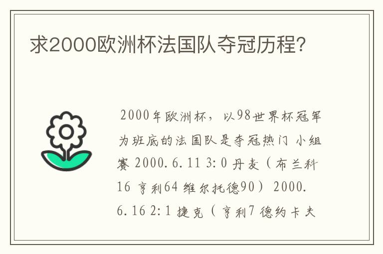 求2000欧洲杯法国队夺冠历程？