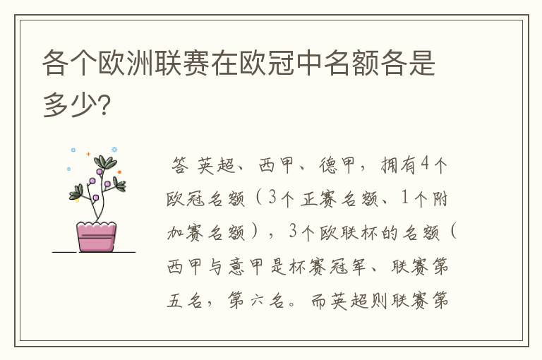 各个欧洲联赛在欧冠中名额各是多少？