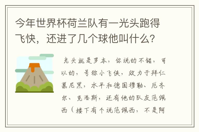 今年世界杯荷兰队有一光头跑得飞快，还进了几个球他叫什么？厉害吗？