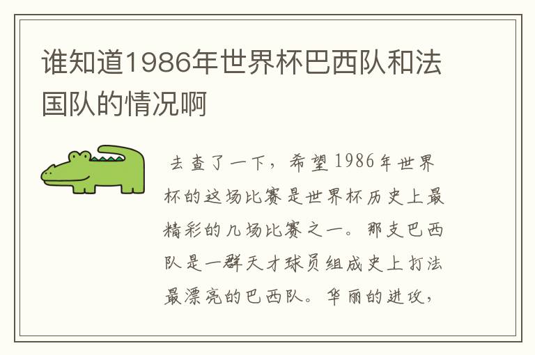 谁知道1986年世界杯巴西队和法国队的情况啊