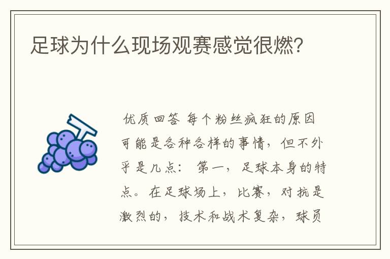 足球为什么现场观赛感觉很燃？