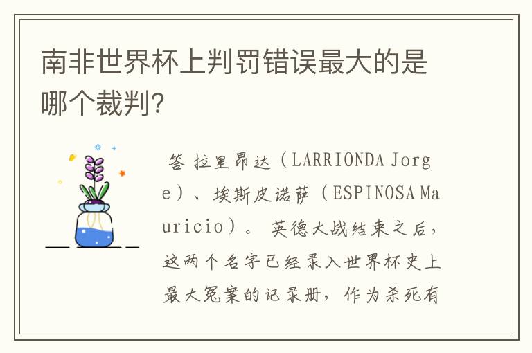 南非世界杯上判罚错误最大的是哪个裁判？