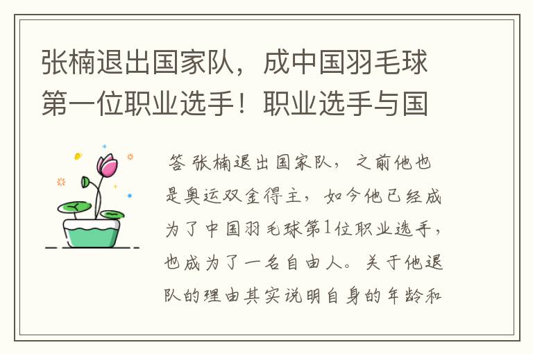 张楠退出国家队，成中国羽毛球第一位职业选手！职业选手与国家队有何不同？