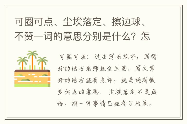 可圈可点、尘埃落定、擦边球、不赞一词的意思分别是什么？怎么用？