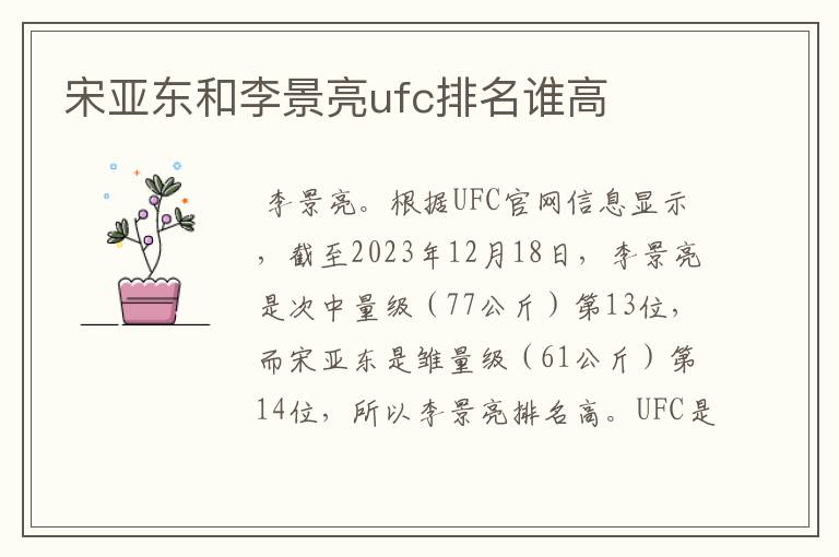 宋亚东和李景亮ufc排名谁高