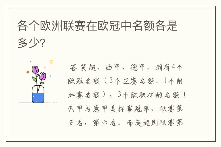 各个欧洲联赛在欧冠中名额各是多少？