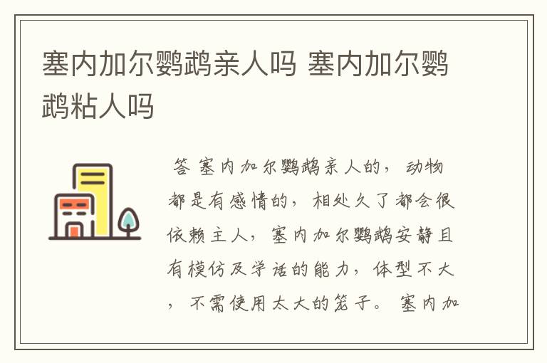 塞内加尔鹦鹉亲人吗 塞内加尔鹦鹉粘人吗