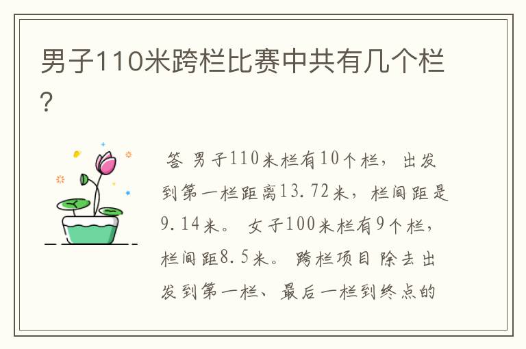 男子110米跨栏比赛中共有几个栏？