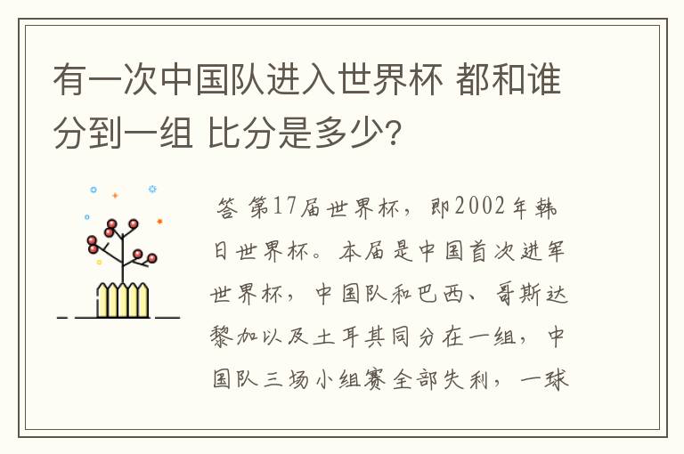 有一次中国队进入世界杯 都和谁分到一组 比分是多少?