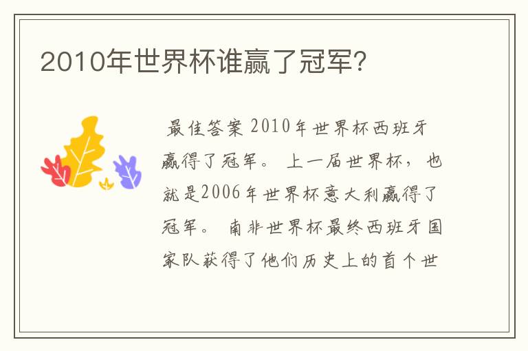 2010年世界杯谁赢了冠军？