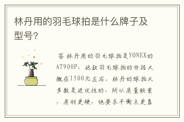 林丹用的羽毛球拍是什么牌子及型号?