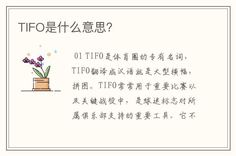 TIFO是什么意思？