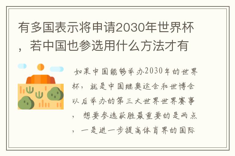 有多国表示将申请2030年世界杯，若中国也参选用什么方法才有可能获胜？