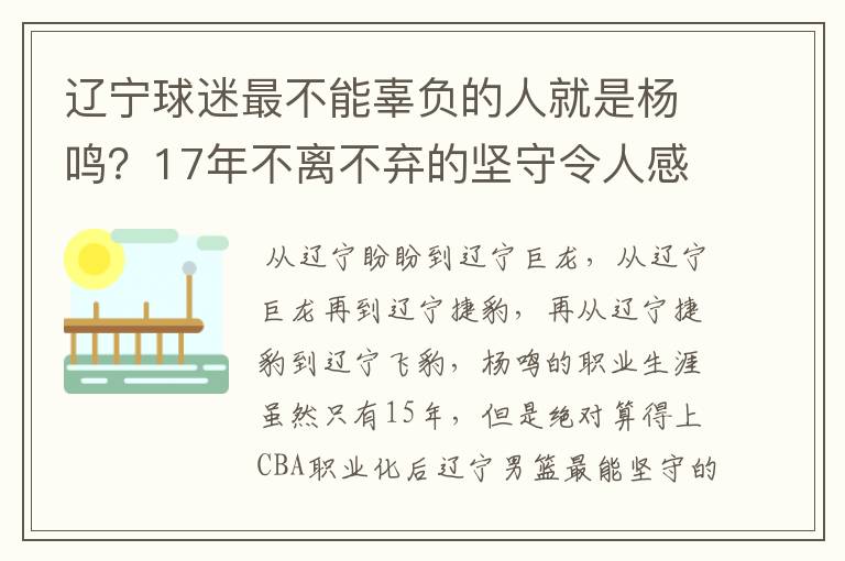 辽宁球迷最不能辜负的人就是杨鸣？17年不离不弃的坚守令人感动