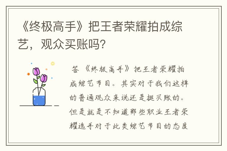 《终极高手》把王者荣耀拍成综艺，观众买账吗？