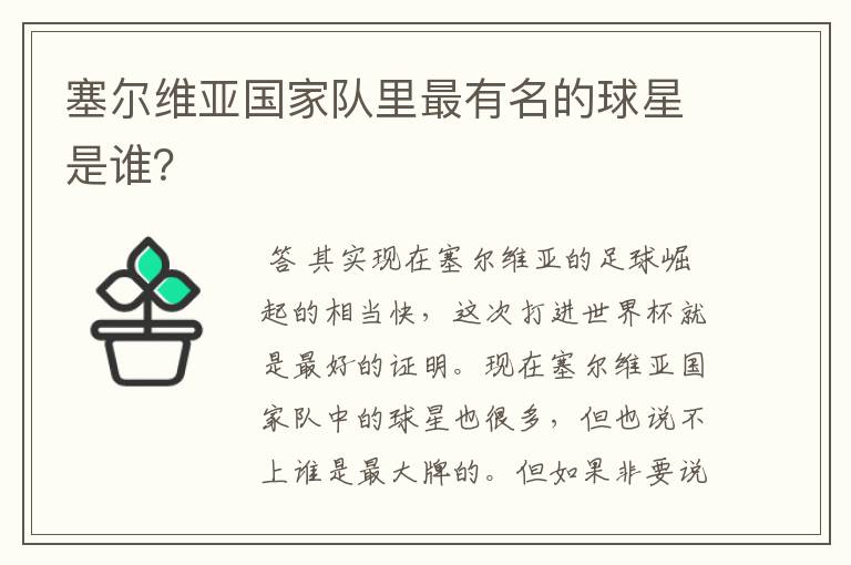 塞尔维亚国家队里最有名的球星是谁？