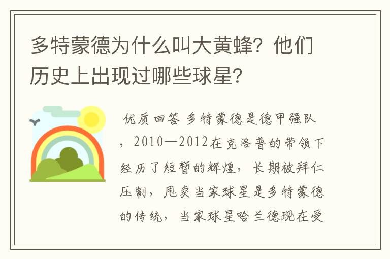 多特蒙德为什么叫大黄蜂？他们历史上出现过哪些球星？