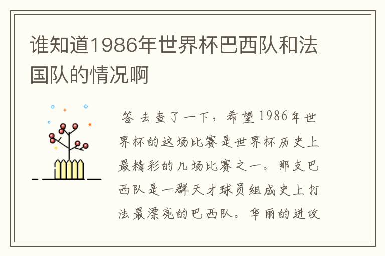 谁知道1986年世界杯巴西队和法国队的情况啊